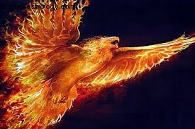Venus in Leo & a Powerful Leo Trio: Understanding Gandanta