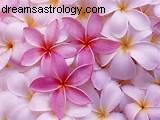 Aquarius New Moon (February 26, 2017): Embrace Transformation & Authenticity