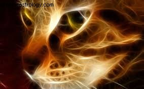 Full Moon in Leo: Power Dynamics & Cosmic Influences (March 2017)