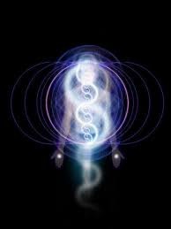 New Moon in Cancer 2018: Understanding Kundalini Energy & Ashlesha Nakshatra