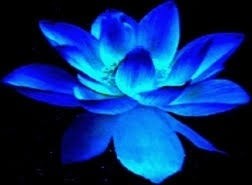 Full Moon Lunar Eclipse in Cancer (Pushya): Miracles of Love & Spiritual Growth
