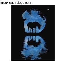Full Moon in Aquarius: Purvabhadra Nakshatra - Embracing Uniqueness