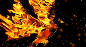 New Moon in Sagittarius: Embracing the Extraordinary & Finding Balance