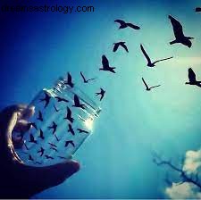 Aquarius New Moon March 13, 2021: Embracing Freedom & Authenticity