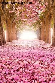 Understanding New Moon in Libra & Vishakha Nakshatra: Finding Purpose & Fulfillment