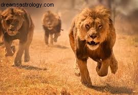 New Moon in Cancer & Lion s Gate Portal: Aug 8, 2021 - Meaning & Significance
