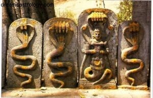 Understanding Namitha: Vedic Astrology & Energetic Self
