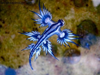 Neptune & Sun Conjunction: Mundane Forecast & Astrological Insights