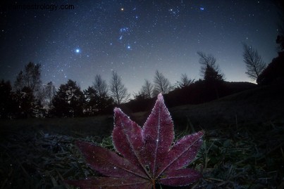New Moon in Scorpio: Navigating Transformation & Emotional Depth