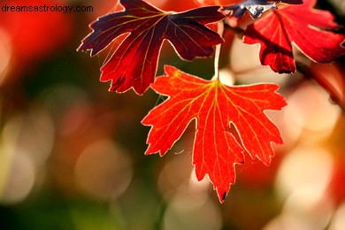 Venus in Libra: A Shift Towards Harmony & Relationships