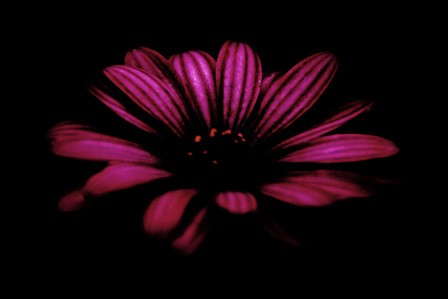 Exploring Mystery: Depth, Allure, and the Unknowable