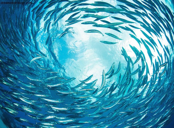 Pisces Zodiac Sign: Traits, Meaning & Jupiter s Influence