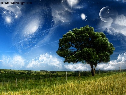 Astrology Update: Holiday Break & Gratitude from Your Astrologer