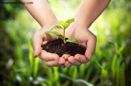 Virgo Moon & Mercury-Saturn Square: Communication & Decision-Making Insights