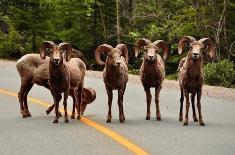 New Moon in Aries: Insights & Energetic Shifts