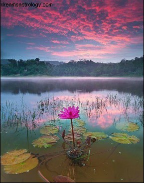 Venus Cazimi: Transformation & Renewal in Relationships