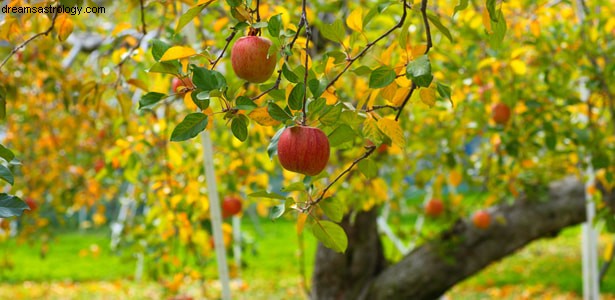Sun-Pluto Opposition & Mars-Uranus Square: Astrological Insights