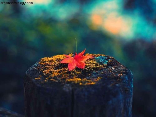 Fall Equinox: Meaning, Symbolism & Traditions | [Your Brand Name]