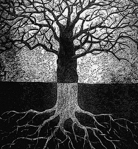 New Moon Cycle Forecast & Astrology Course Announcements