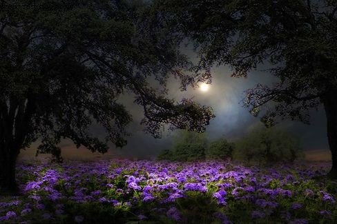 Sun-Pluto-Venus Conjunction & Last Quarter Moon: Karmic Shifts & Repressed Desires