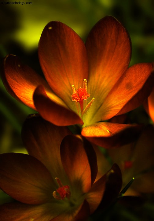 Mercury & Venus in Aries: Astrological Implications & Challenges