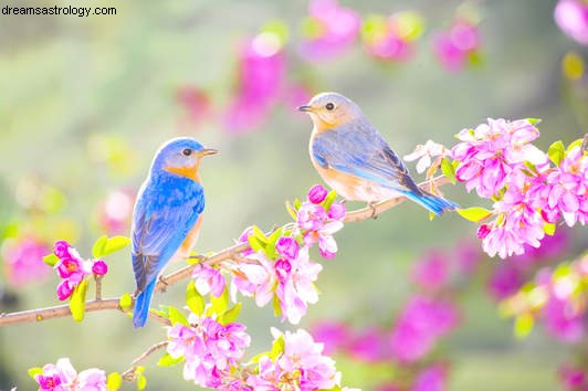 Dark Moon Phase: Embracing Transition and the Arrival of Spring