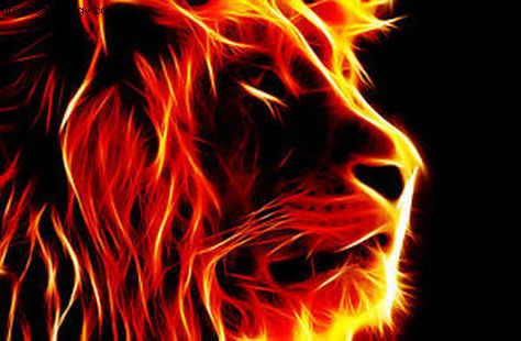 Mercury Retrograde in Leo: What to Expect & How to Navigate