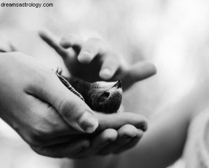 Mercury-Venus in Scorpio: Understanding Relationships & Inner Desires | Astrological Insights