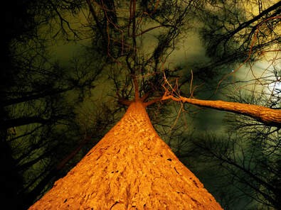 Moon-Pluto Square Today: Navigating Intensity & Confrontation