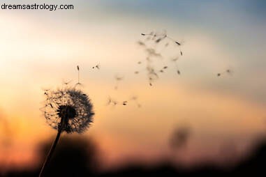 First Quarter Moon in Scorpio: Astrological Insights & What to Expect