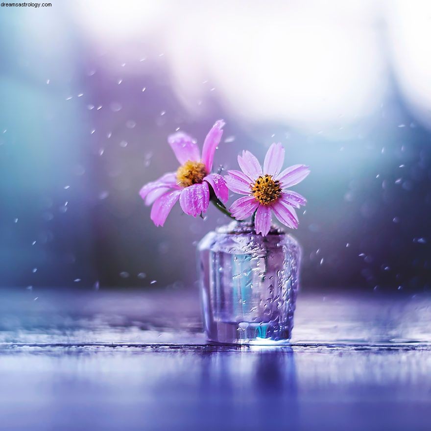Venus in Pisces & Celestial Alignments: Love, Emotion & Miracles