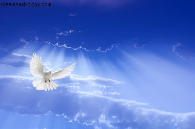 Understanding Self-Healing: Supporting Autonomy & Well-being