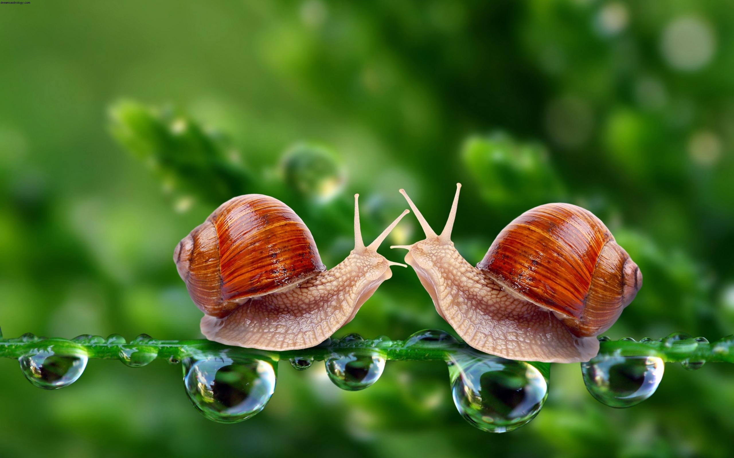 Mercury in Taurus: Understanding Its Influence on Communication & Routine
