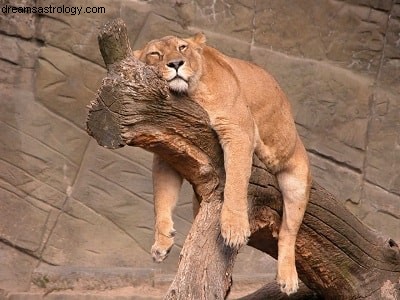 Overwhelmed and Exhausted? Strategies for Reclaiming Your Energy
