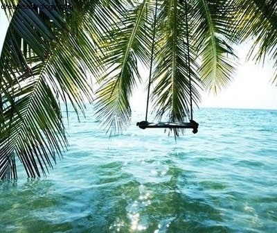Venus, Neptune & Jupiter in Pisces: A Cosmic Forecast for Dreams & Realization
