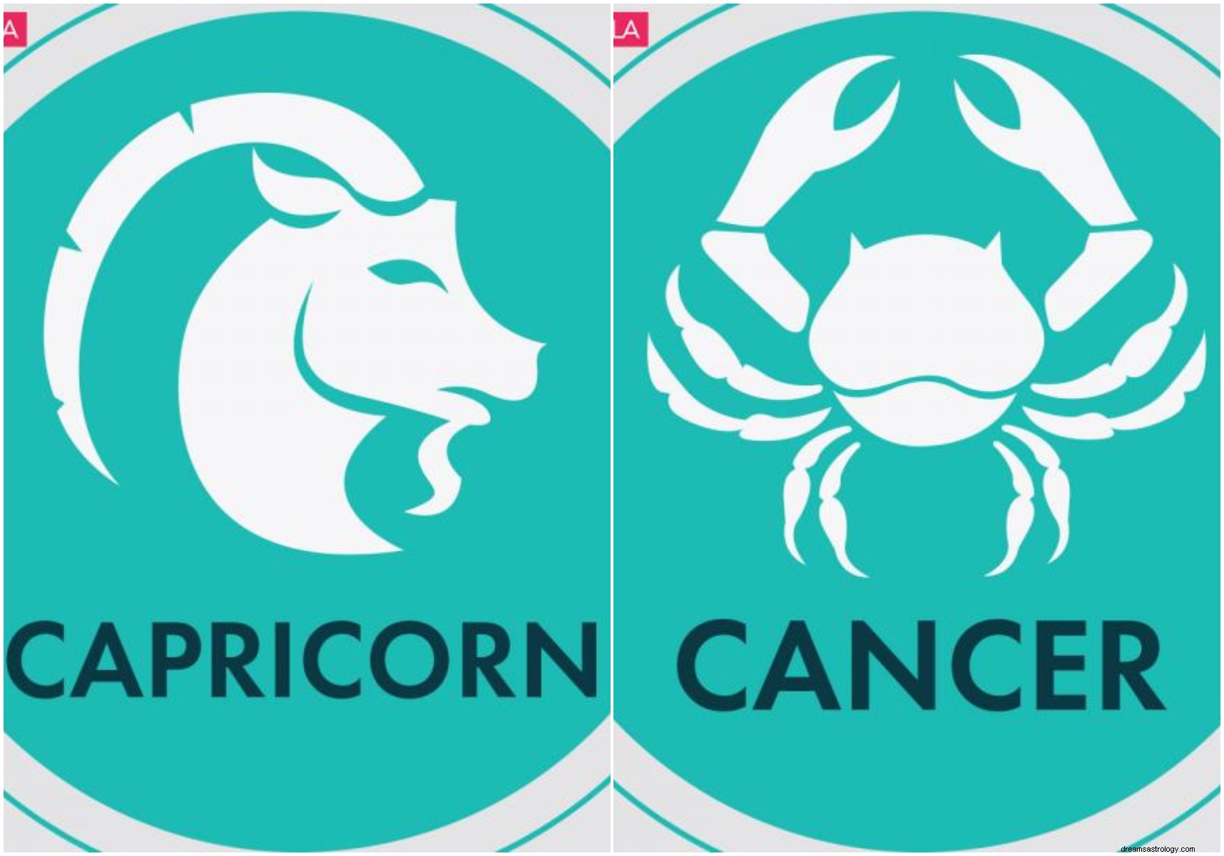 Opposites Attract: Zodiac Sign Pairings & Love Compatibility