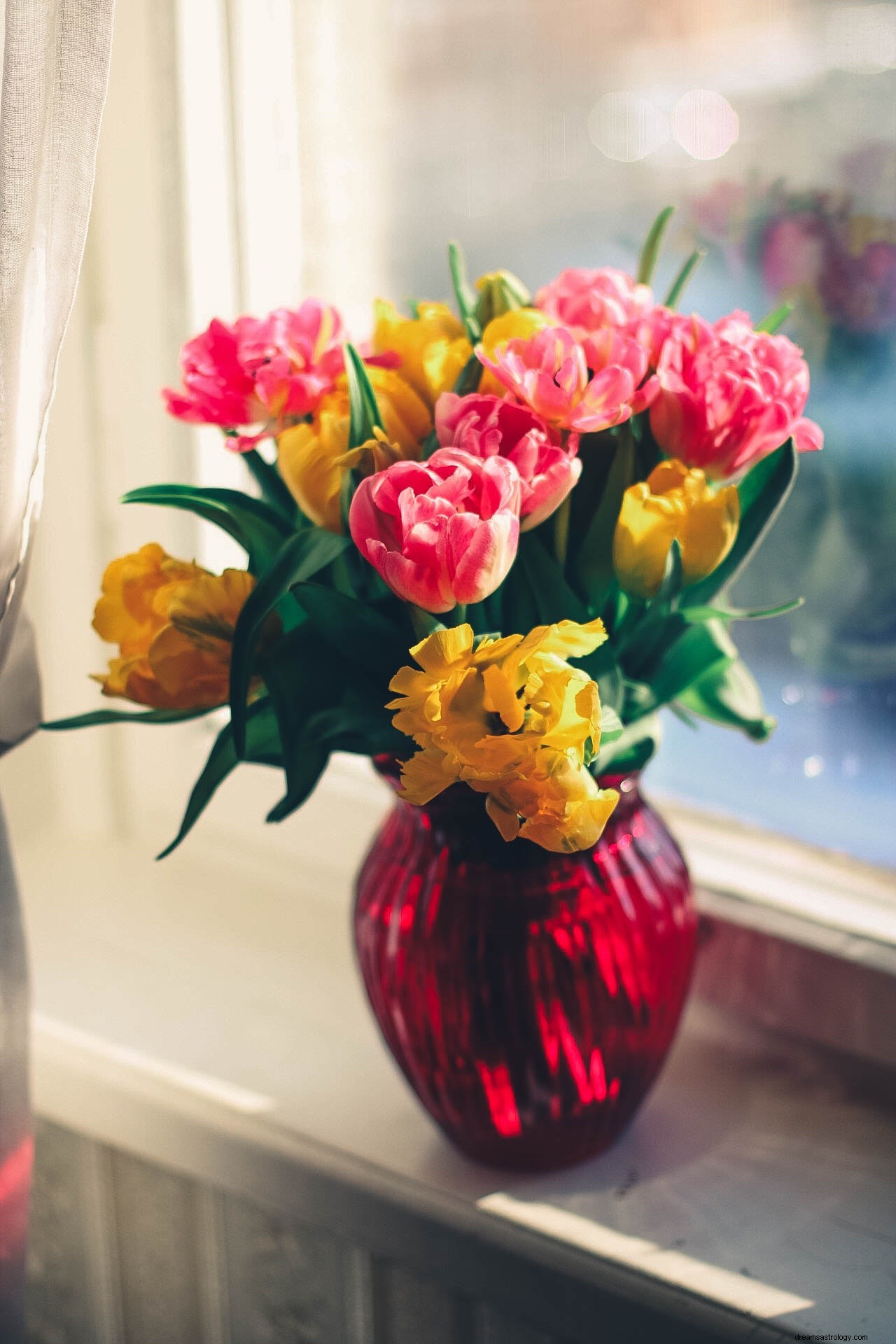 Zodiac Gift Guide: Personalized Presents Based on Zodiac Signs