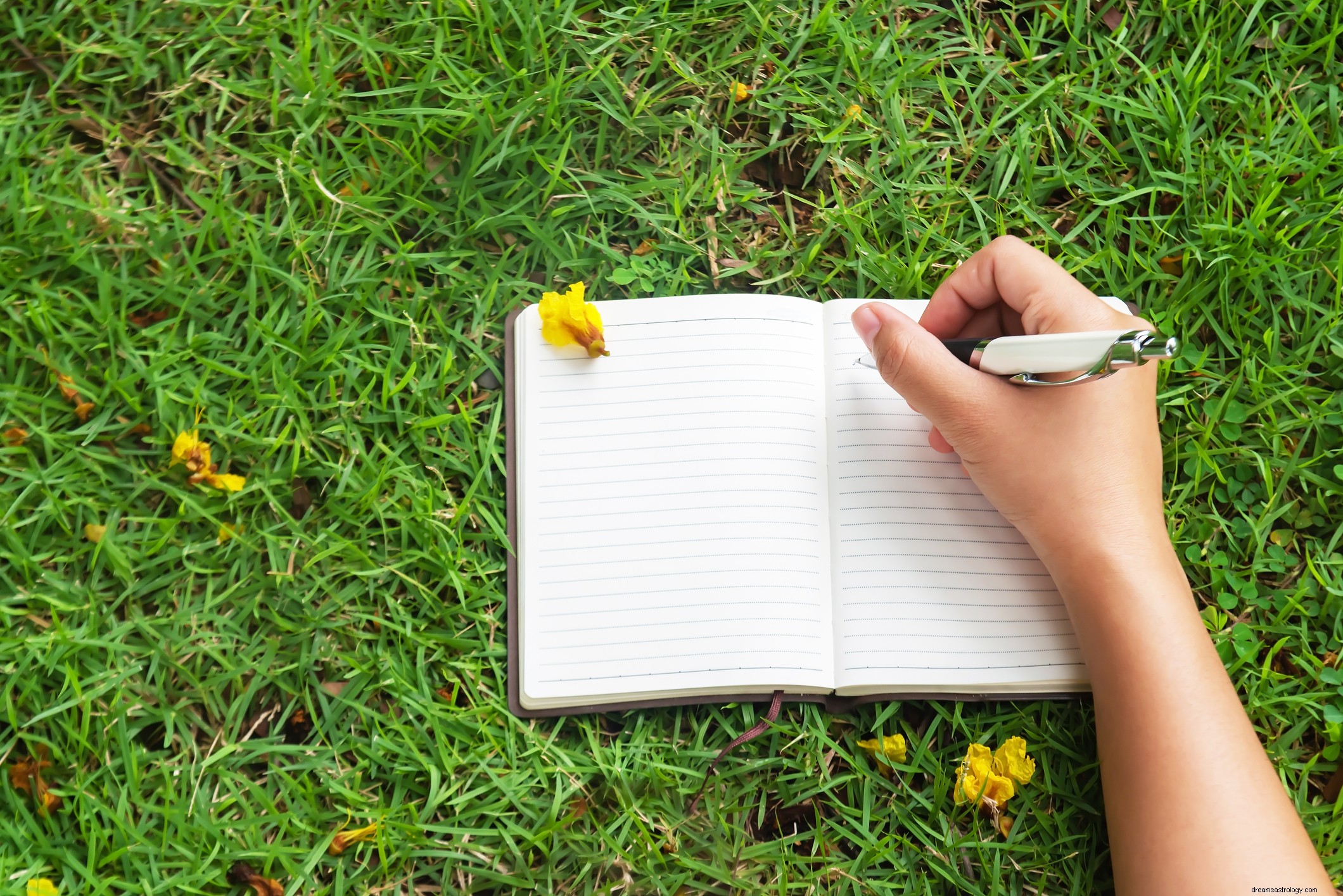 Top Hobbies for Virgos: Engaging Activities for Analytical Minds