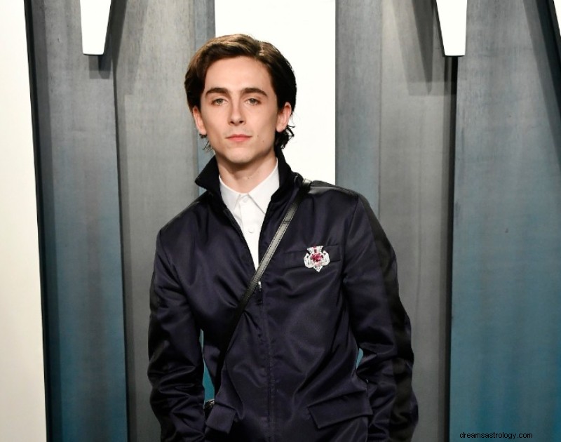 Zodiac Compatibility: Which Signs Align with Timothée Chalamet?