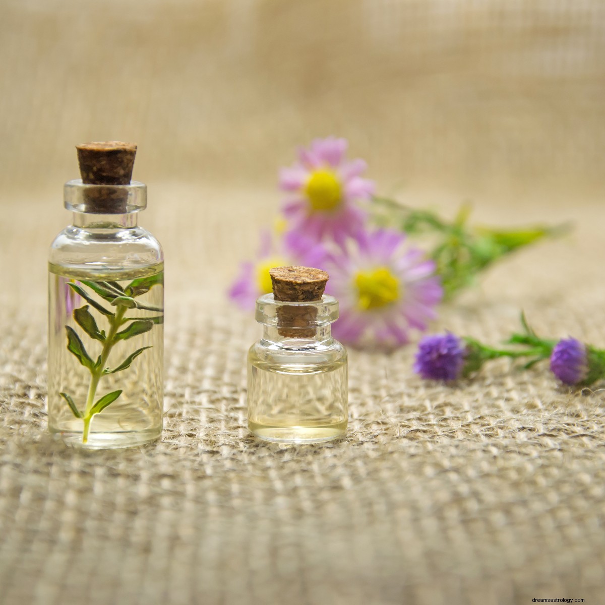 Fragrance & Zodiac: Discover Your Perfect Scent Match