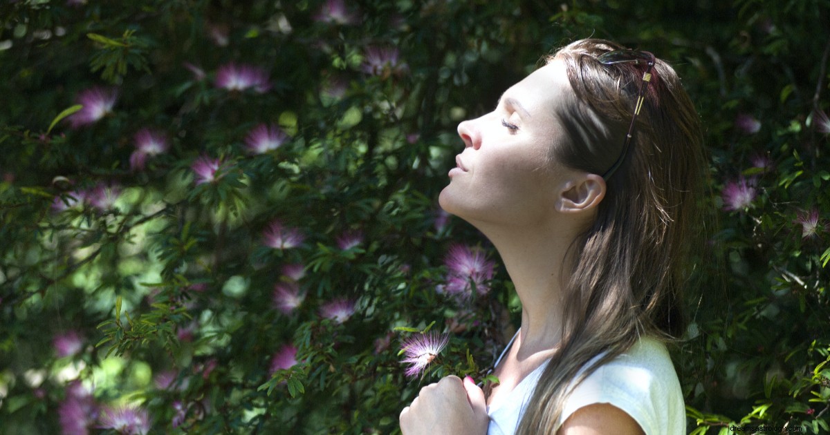 4 Zodiac Signs Who Thrive in Low-Key Environments | Astrology Insights