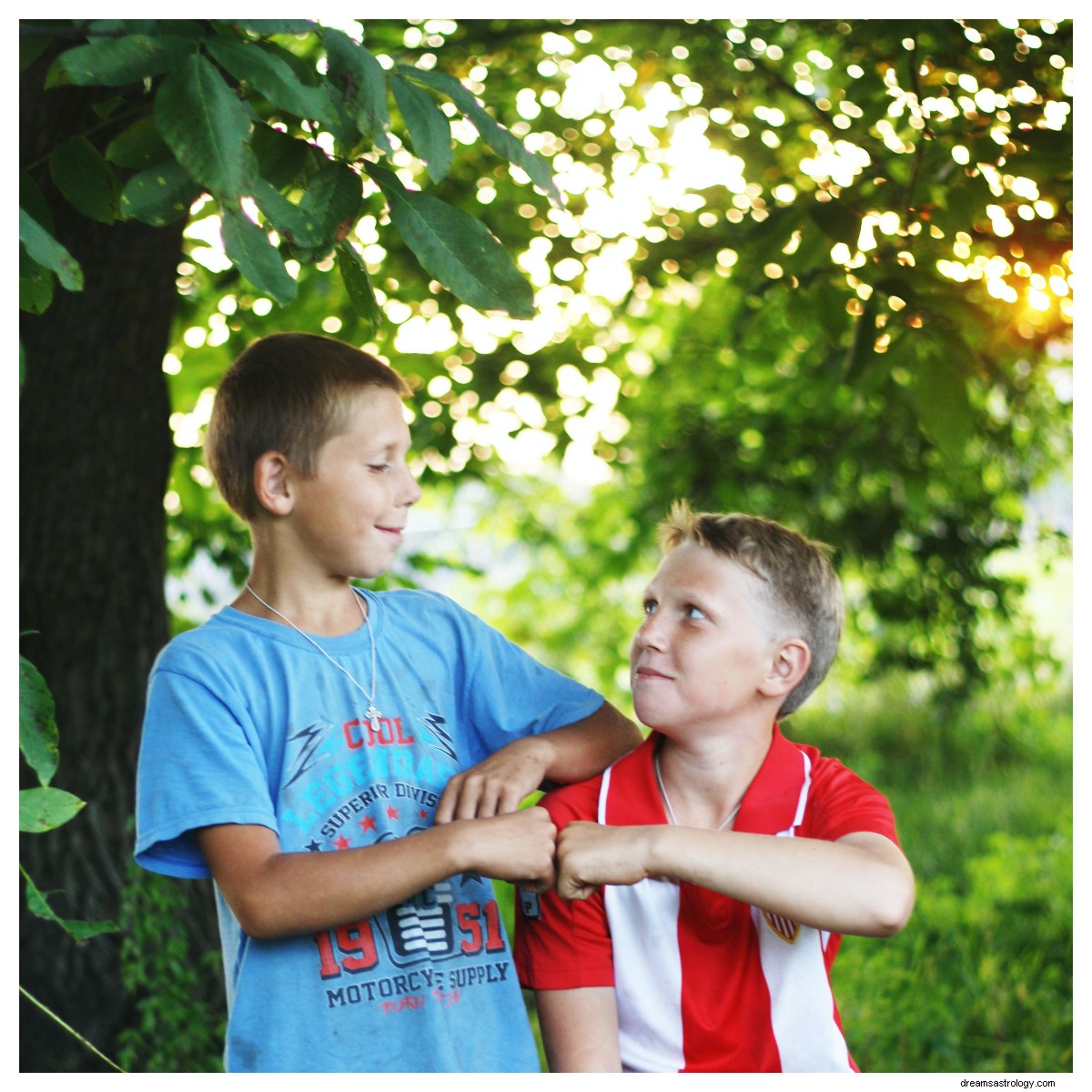 Best Zodiac Signs for Brotherly Bonds: Loyalty & Support