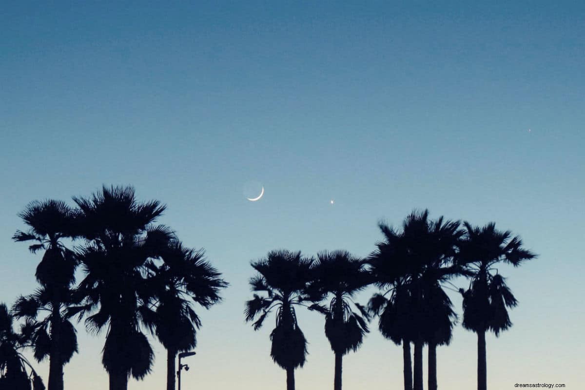 New Moon in Scorpio November 2023: Release & Renewal