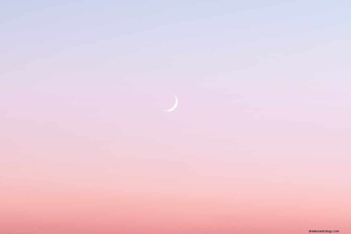 August New Moon in Leo: Manifestation & Lion s Gate Portal