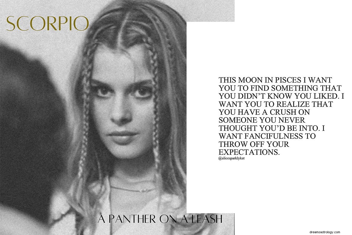 Top Astrologers on Instagram: Insights & Guidance for 2024