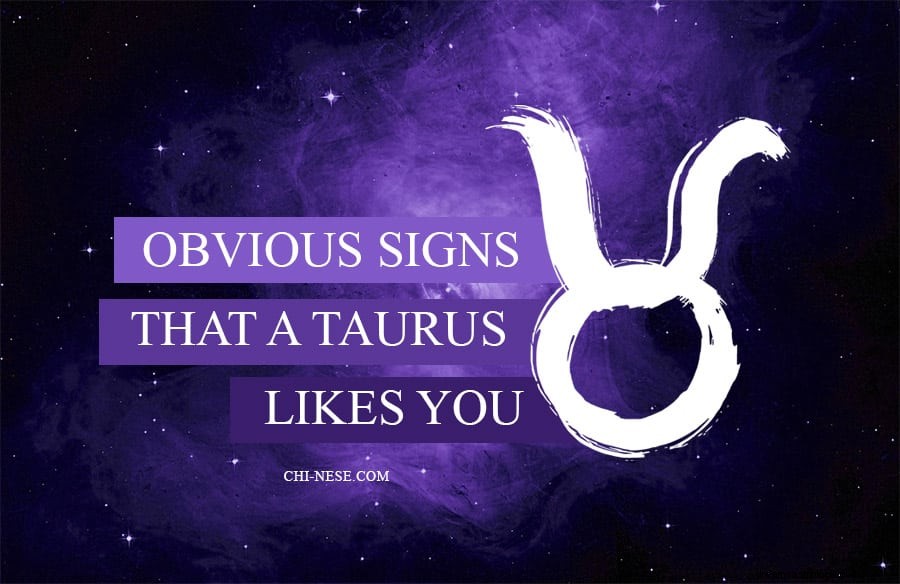 15 Signs a Taurus is Attracted to You: Love & Compatibility