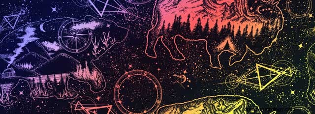 Native American Animal Symbols: Meanings & Zodiac