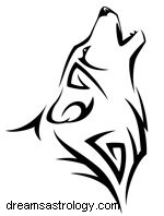 Native American Animal Symbols: Meanings & Zodiac