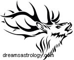 Native American Animal Symbols: Meanings & Zodiac