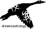 Native American Animal Symbols: Meanings & Zodiac